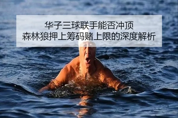 华子三球联手能否冲顶 森林狼押上筹码赌上限的深度解析